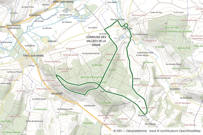 N°08 Vareilles Le bois du champs-fetu
