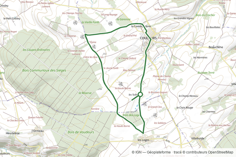 N°19 08 km Chemin des Vents, Coulours Vaudeurs Les Sièges